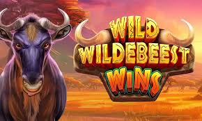 Wild Wildebeest Wins